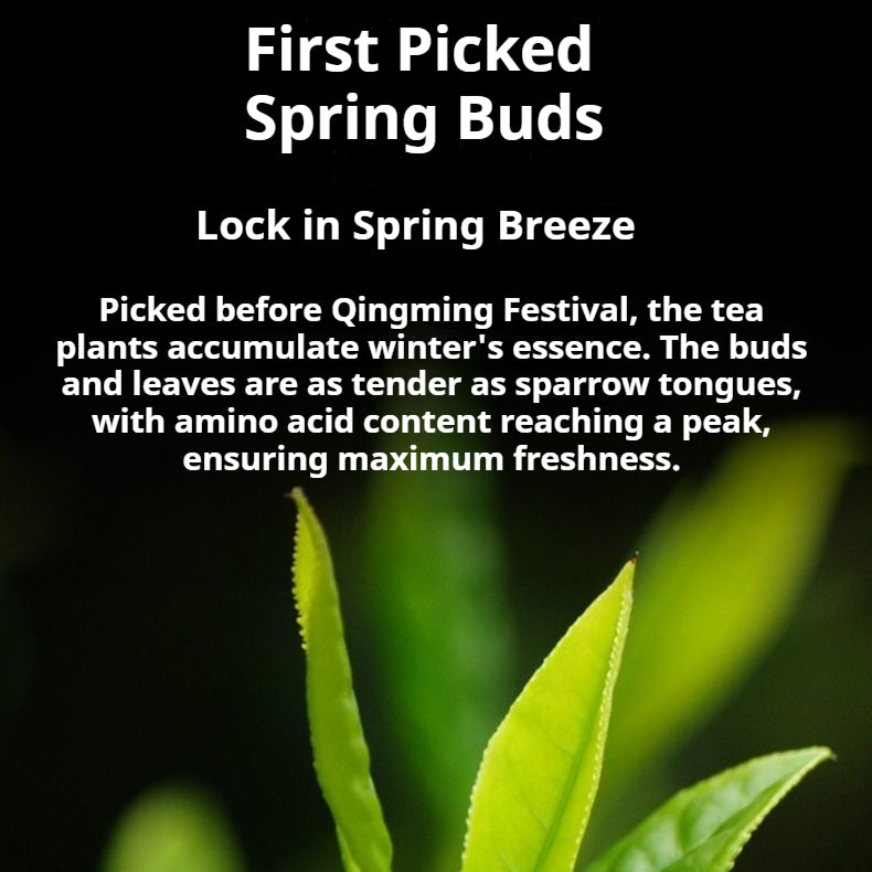 Organic black tea, special high mountain large leaf new tea, picked before the Qingming Festival, fried and fragrant