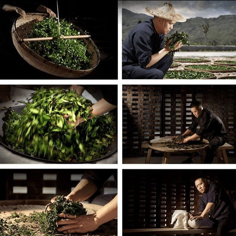 Organic black tea, special high mountain large leaf new tea, picked before the Qingming Festival, fried and fragrant